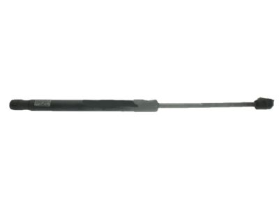 Acura TL Lift Support - 74149-TK4-A02
