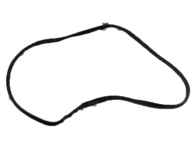 Acura TLX Weather Strip - 72350-TZ3-A01