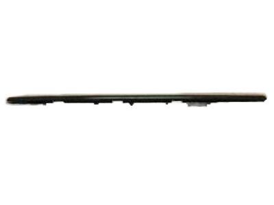 Acura 72410-SV2-013 Right Front Door Molding Assembly