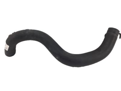 Acura 19502-R4H-A00 Water Lower Hose