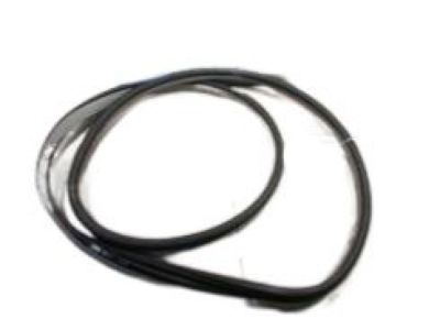 2009 Acura TSX Weather Strip - 72815-TL0-003ZB