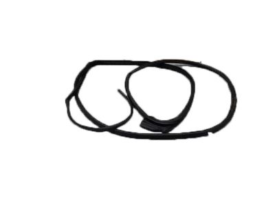 Acura TLX Weather Strip - 72810-TZ3-A01