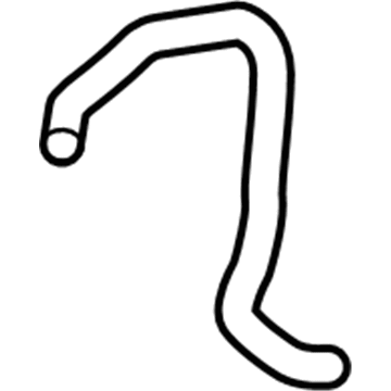 Acura 19502-RKG-A00 Water Hose (Lower)