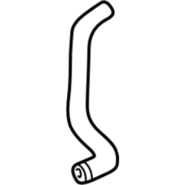 Acura 19502-PR7-A01 Water Hose (Lower) (White Painted)