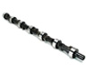 Acura RSX Camshaft