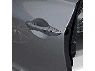 Acura Door Edge Guards - Exterior Color:Canyon Bronze Metallic 08P20-TX6-2K0A