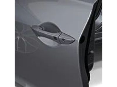 Acura Door Edge Guards 08P20-TX6-2G0A