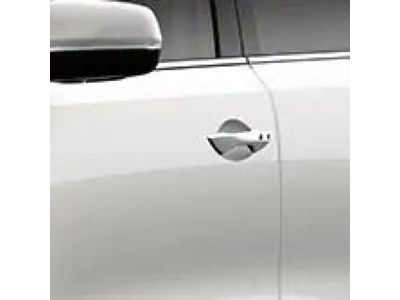 Acura Door Edge Guard 08P20-TZ5-250B