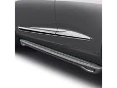 Acura Running Board 08L33-TJB-200