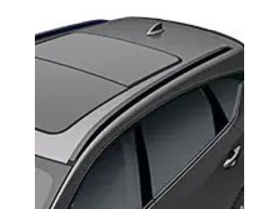 Acura Roof Rails Black For Crossbars 08L02-TJB-200A