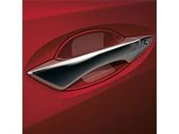 Door Handle Film