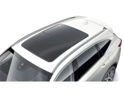 Acura Roof Rails - Silver 08L02-TYA-201