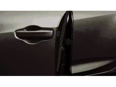 Acura Door Edge Guards - Majestic Black Pearl 08P20-3S5-240A