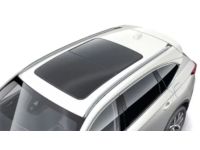 Acura Roof Rails - 08L02-TYA-201