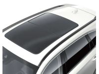 Acura Roof Rails - 08L02-TYA-201B