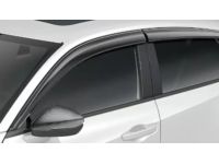 Door Visor