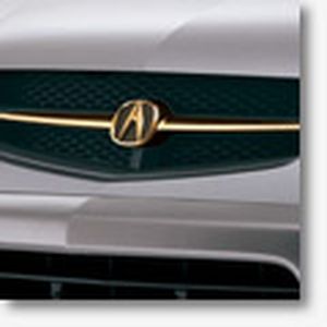 Acura Gold Inner Grille 08F21-S3V-200