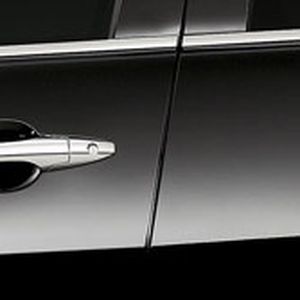 Acura Door Edge Guards (Crystal Black Pearl - exterior) 08P20-STX-2D0