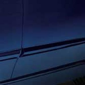 Acura Body Side Molding (Crystal Black Pearl - Exterior) 08P05-TL2-2B0