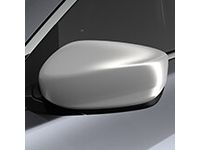 Door Mirror Cover