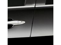 Acura Door Edge Guards - 08P20-STX-2E0