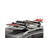 Acura Ski Attachment