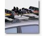Acura TSX Ski Attachment