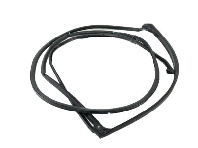 Acura MDX Door Seal - 72310-TZ5-A01