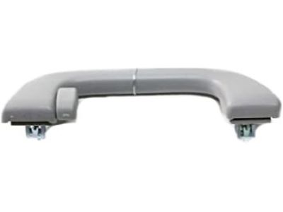 Acura 83240-SNA-A11ZY Grab Rail Assembly (Light Jewel Gray) (Coat Hanger)