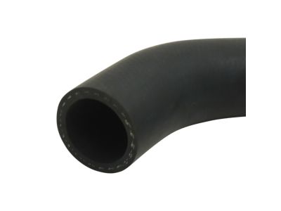 Acura 19502-RK2-A00 Water Hose Lower