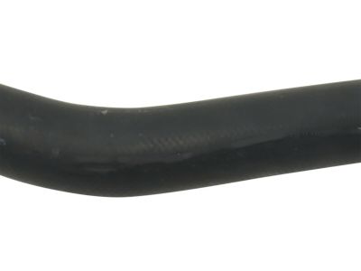 Acura 19502-RK2-A00 Water Hose Lower