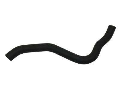 2011 Acura TL Radiator Hose - 19502-RK2-A00