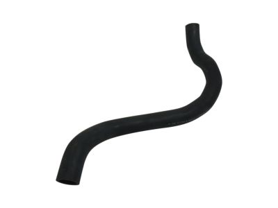 Acura 19502-RK2-A00 Water Hose Lower
