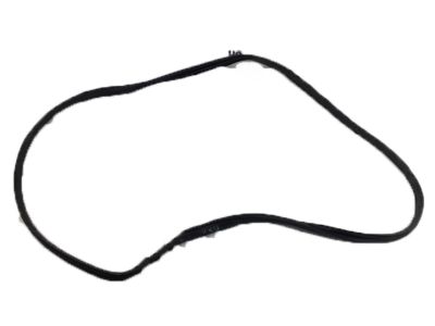 Acura TLX Door Seal - 72350-TZ3-A01