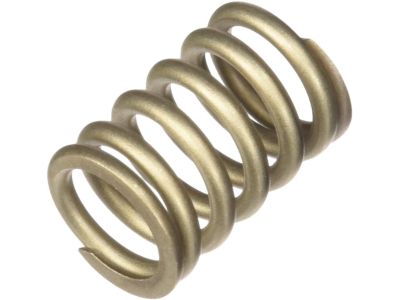 Acura 18230-SA0-930 Flexible Joint Spring