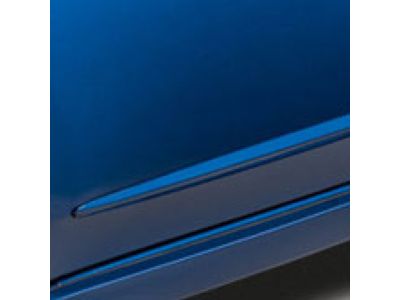 2014 Acura TSX Door Moldings - 08P05-TL2-2D0