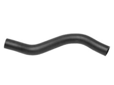 Acura 79725-STK-A00 Water Outlet Hose