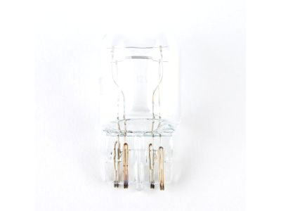 Acura 33506-SJ6-004 Exterior Bulb (12V 18W)