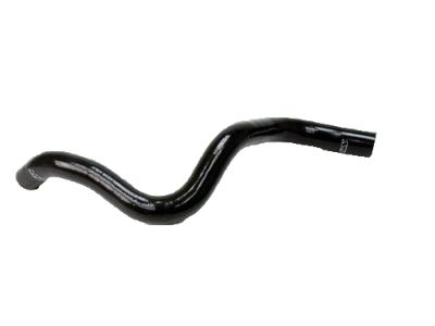 Acura 19502-RDB-A00 Hose, Water (Lower)