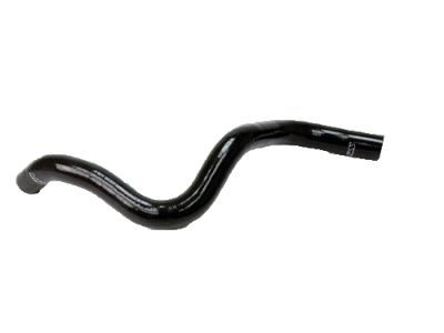 2007 Acura TL Radiator Hose - 19502-RDB-A00