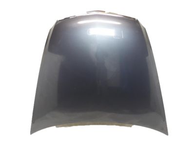 Acura RL Hood - 60100-SJA-A92ZZ