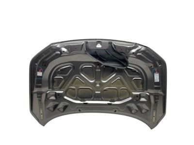 Acura Hood - 60100-TYA-A01ZZ