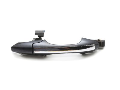 2006 Acura RL Door Handle - 72181-SJA-A04ZG