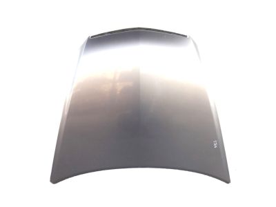 Acura RL Hood - 60100-SJA-A91ZZ