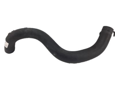 Acura ILX Radiator Hose - 19502-R4H-A00