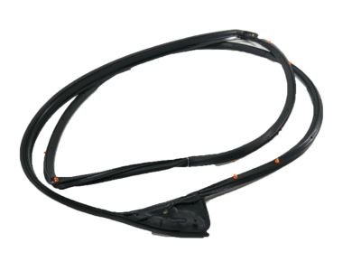 2016 Acura MDX Weather Strip - 72350-TZ5-A01