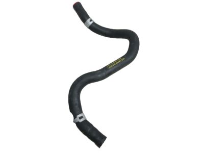 Acura 19502-5YF-A01 Water Hose (Upper)