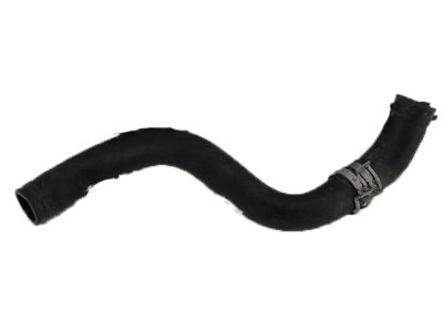 2017 Acura TLX Radiator Hose - 19502-RDF-A00