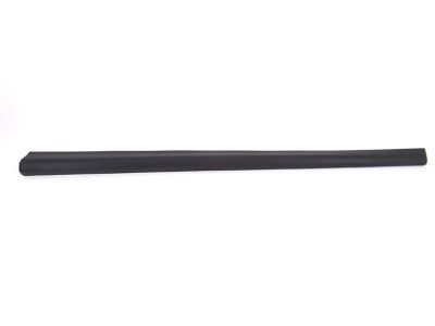 Acura Door Moldings - 75312-TX4-A01
