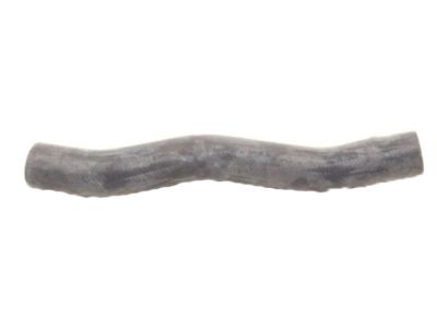 Acura TLX Radiator Hose - 19501-5J2-A00